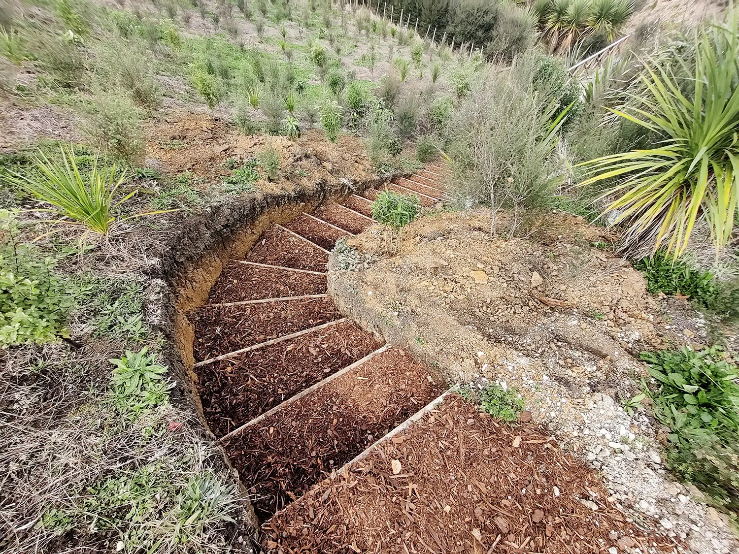 Cut-in garden stairs set into a sloped bank