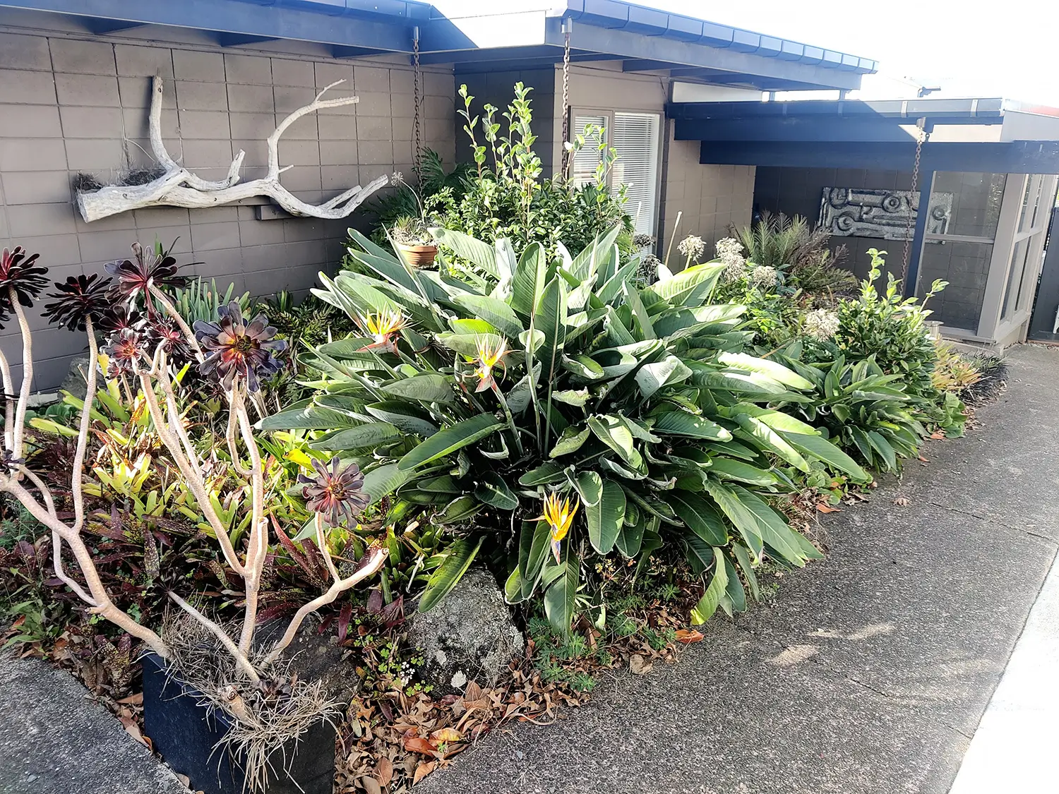 Front entrance before redesign